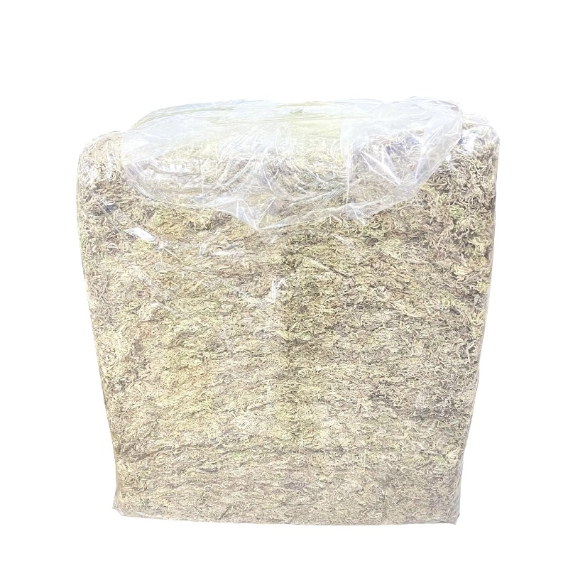 Sphagnum Moss Dry - 5KG Muschio Sfagno Compresso Essiccato per