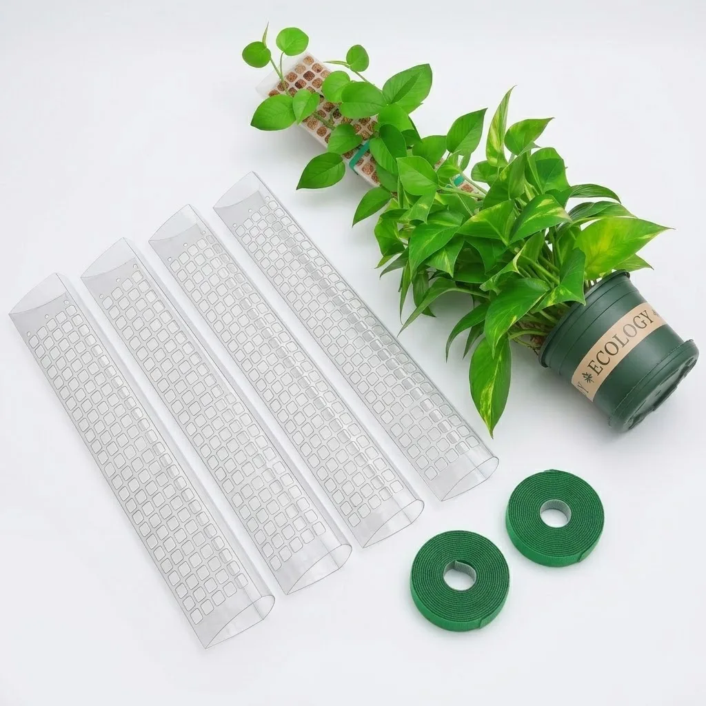 Sphagnum Moss Dry - Supporto per piante rampicanti da interno