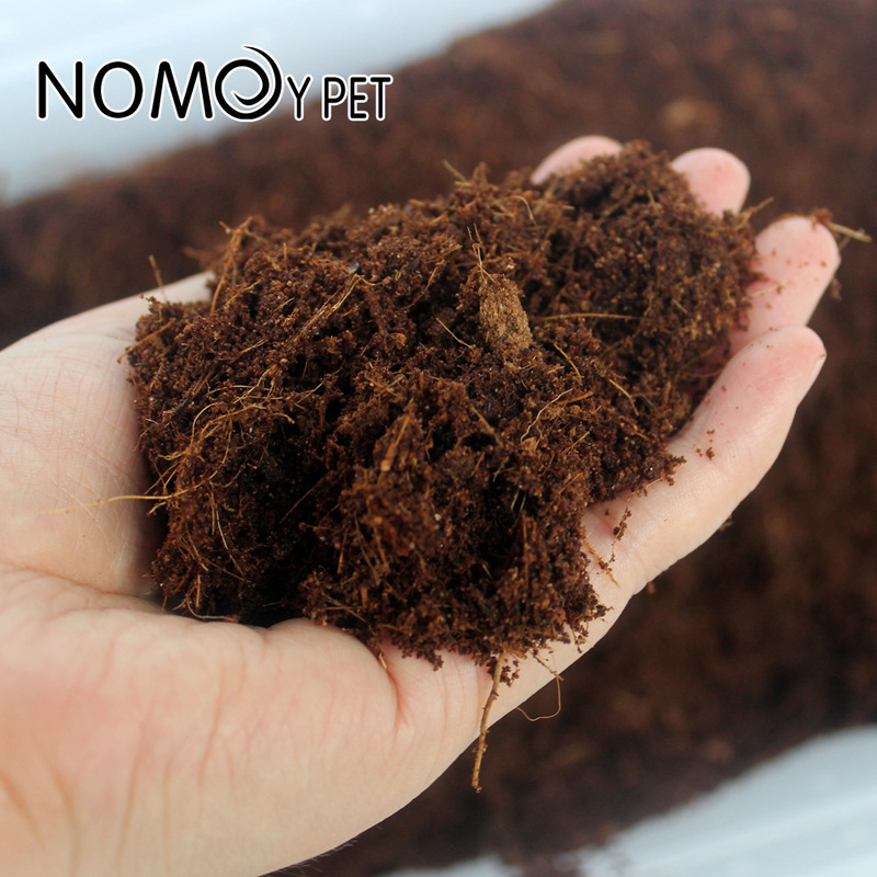Sphagnum Moss Dry - Substrato per Rettili in Fibra di