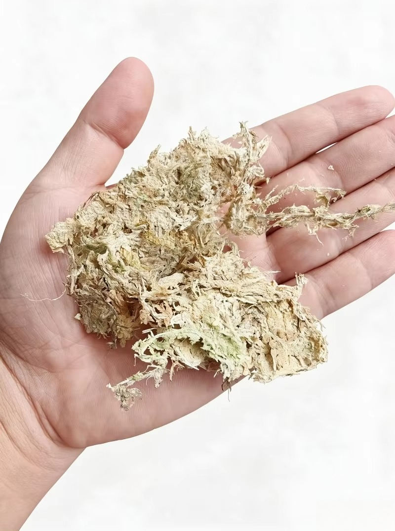 Sphagnum Moss Dry - Muschio di Sfagno Premium per Orchidee,