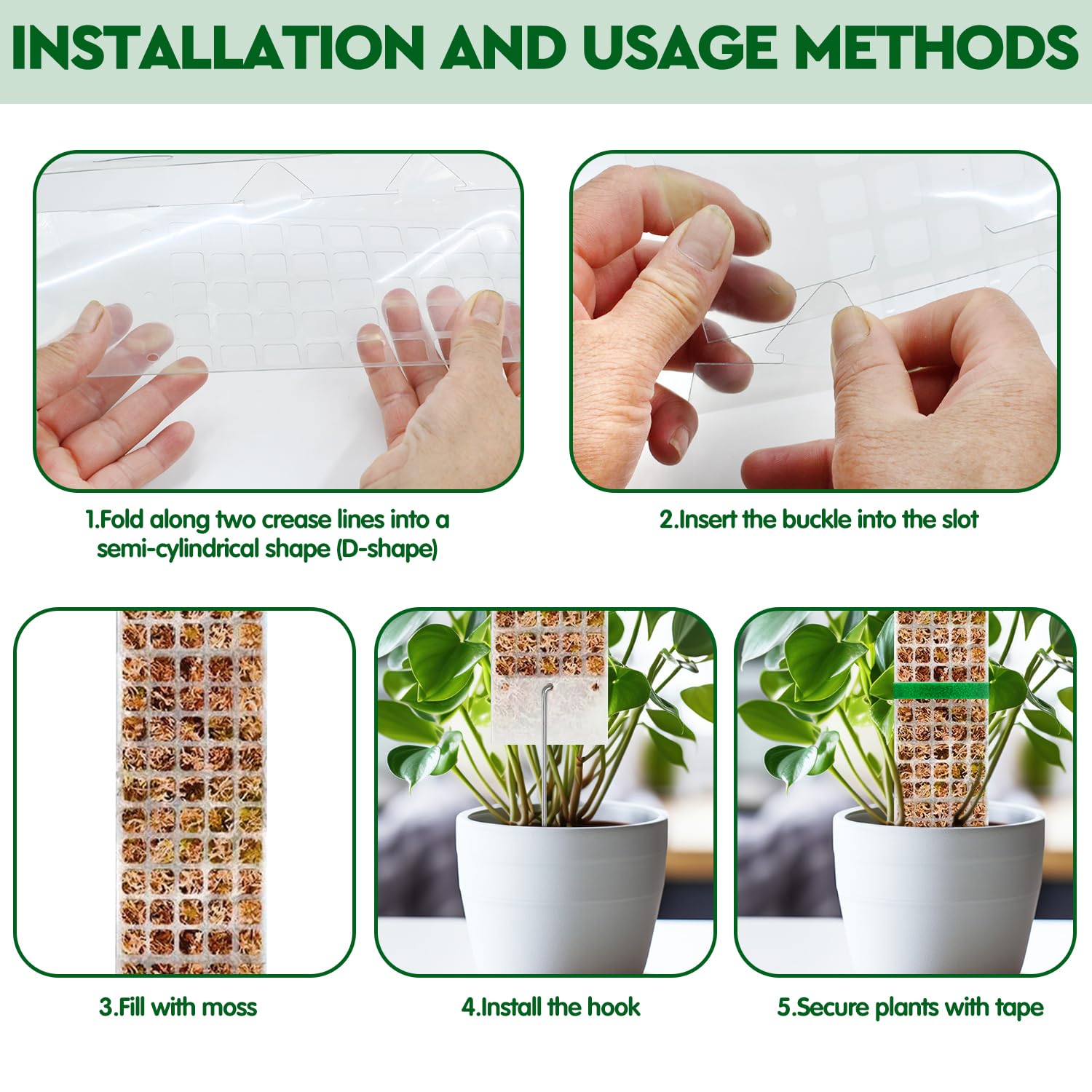 Piante Muschio Palo Soggetto d - Sphagnum Moss Dry recensione e prezzo