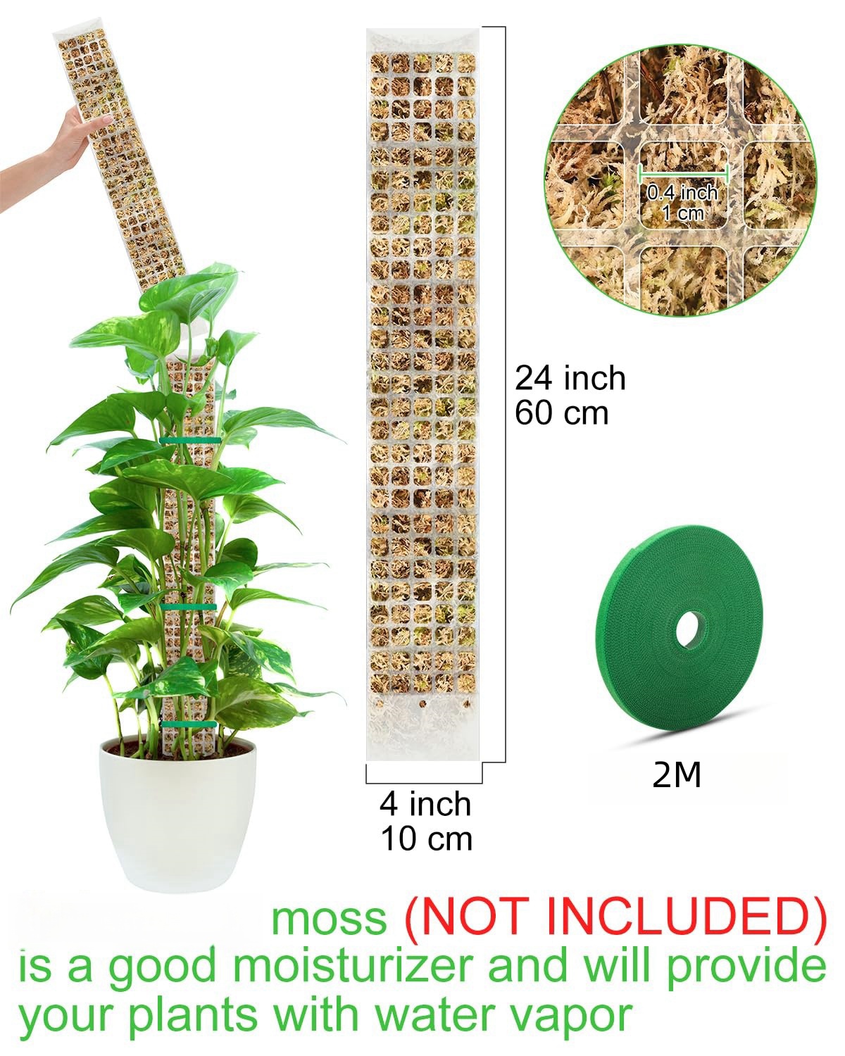 Piante Muschio Palo Soggetto d - Sphagnum Moss Dry recensione e prezzo